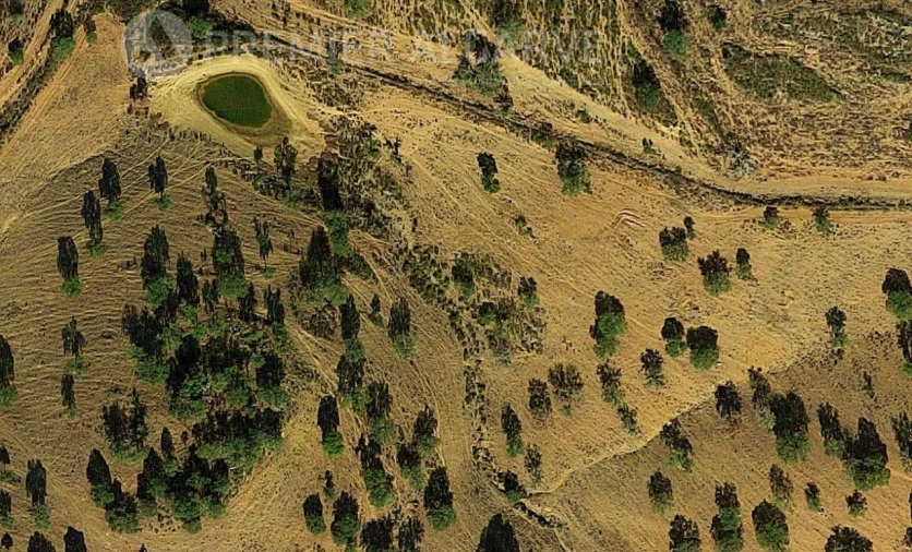 Quinta para Venda em Mertola Foto 18