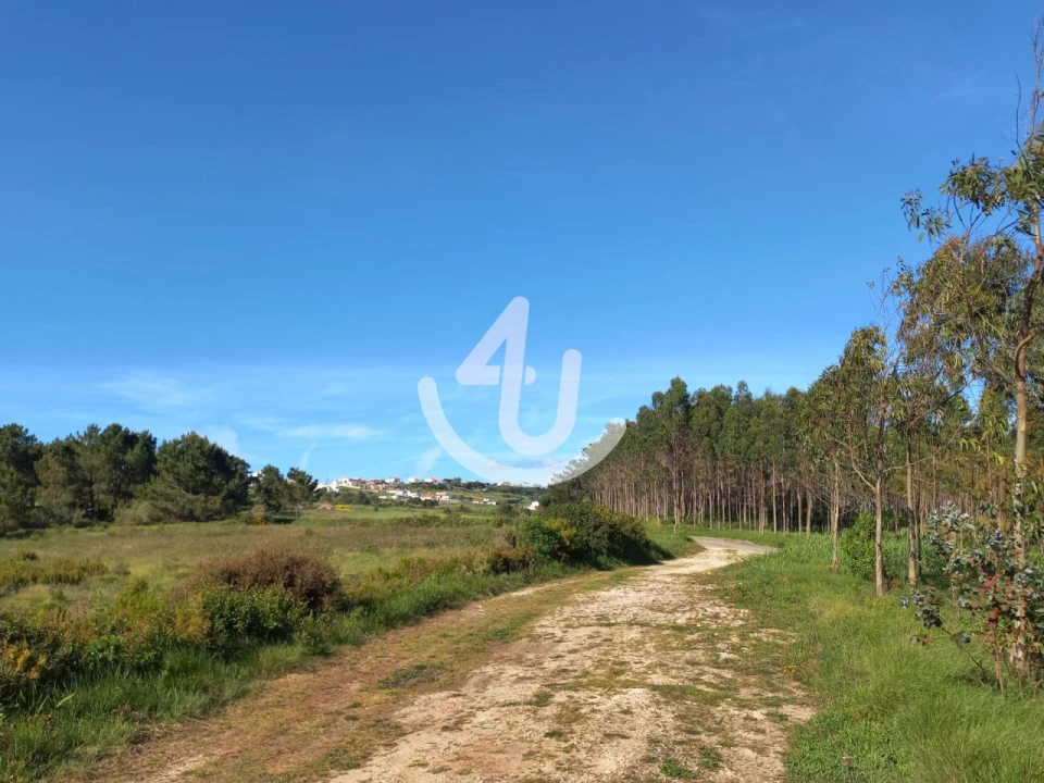 Terreno Agricola ou Rústico para Venda em Famalicão Foto 2