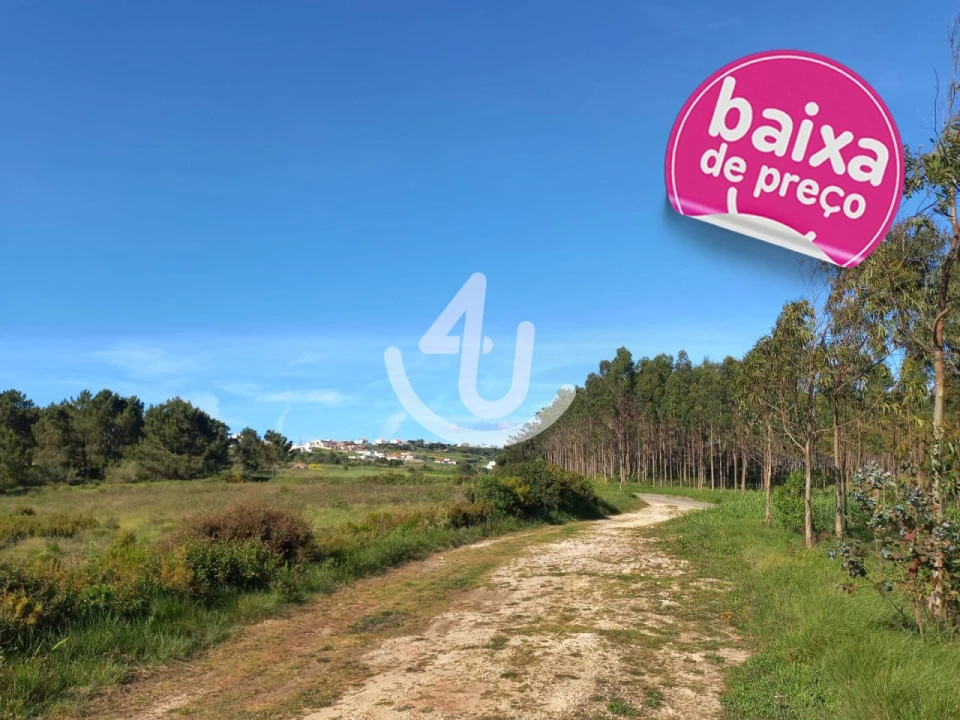 Terreno Agricola ou Rústico para Venda em Famalicão Foto 1