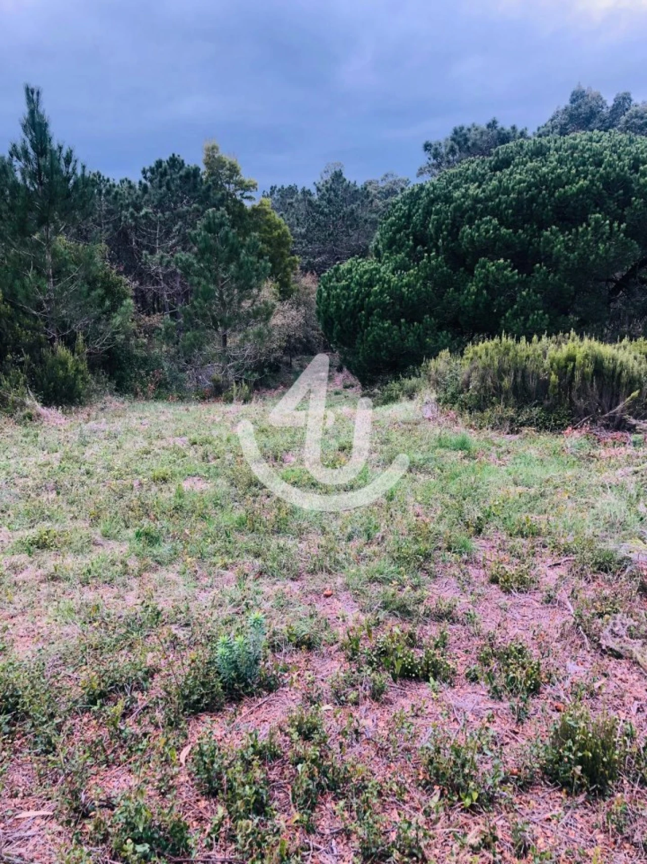 Terreno Agricola ou Rústico para Venda em Famalicão Foto 7