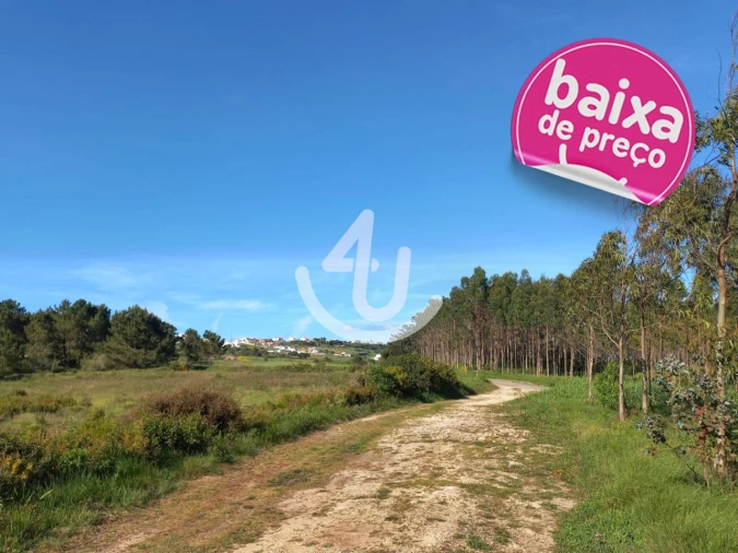 Terreno Agricola ou Rústico para Venda em Famalicão Foto 1