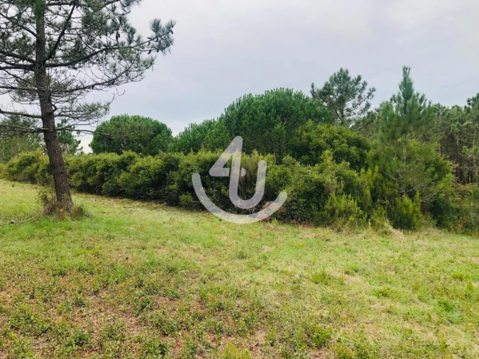 Terreno Agricola ou Rústico para Venda em Famalicão Foto 8