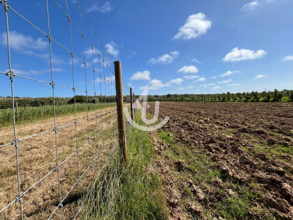 Quinta T6 para Venda em Alfeizerão Foto 48