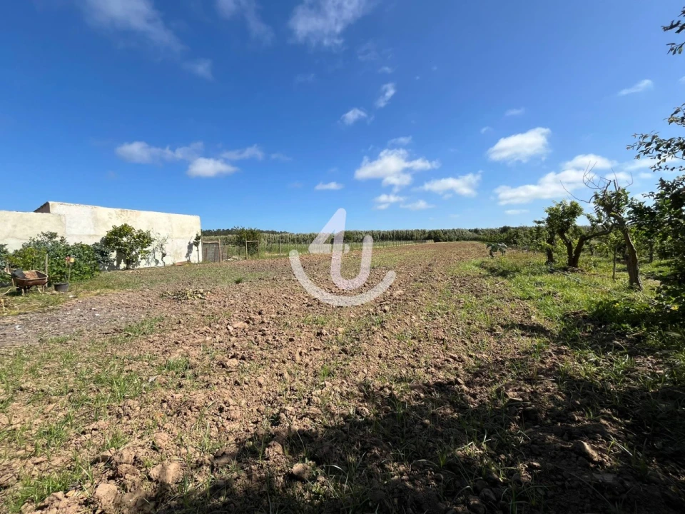 Quinta T6 para Venda em Alfeizerão Foto 52