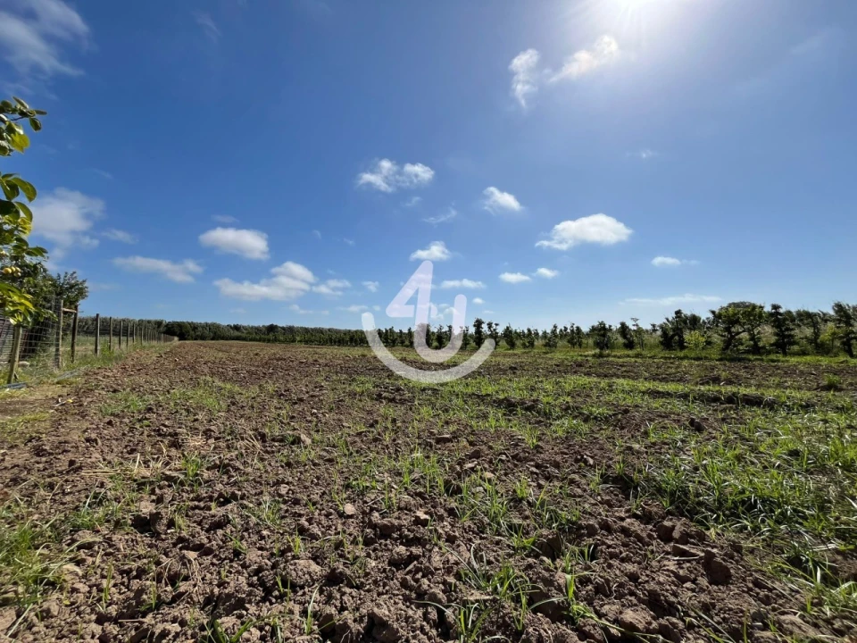 Quinta T6 para Venda em Alfeizerão Foto 49