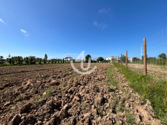 Quinta T6 para Venda em Alfeizerão Foto 50