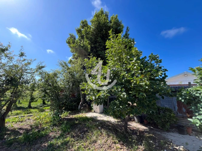 Quinta T6 para Venda em Alfeizerão Foto 54