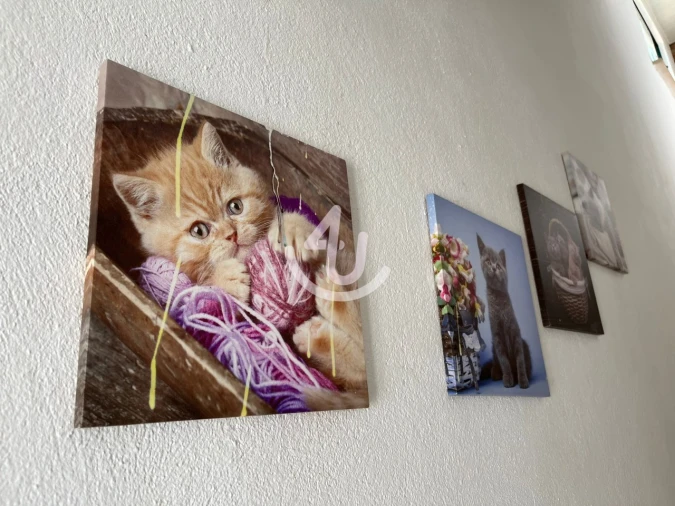 Quinta T6 para Venda em Alfeizerão Foto 38