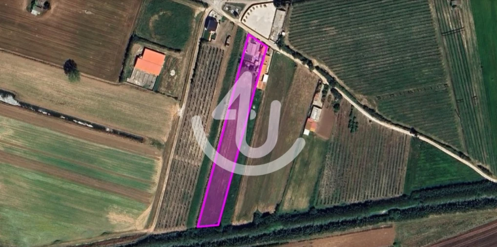 Quinta T6 para Venda em Alfeizerão Foto 58