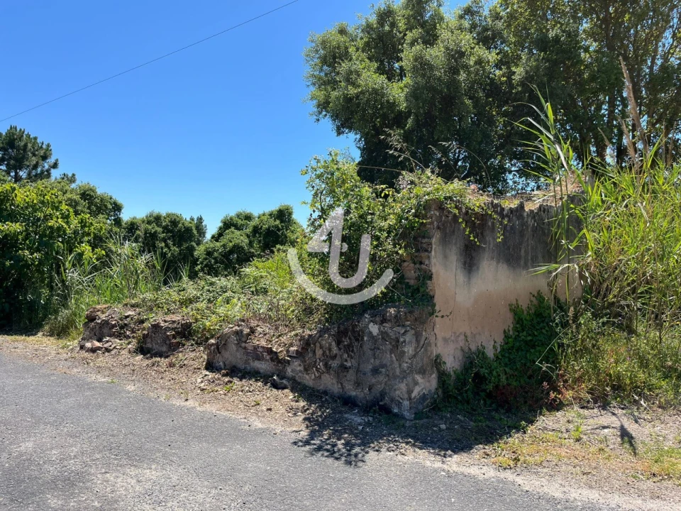 Moradia para Venda em Salir de Matos Foto 3