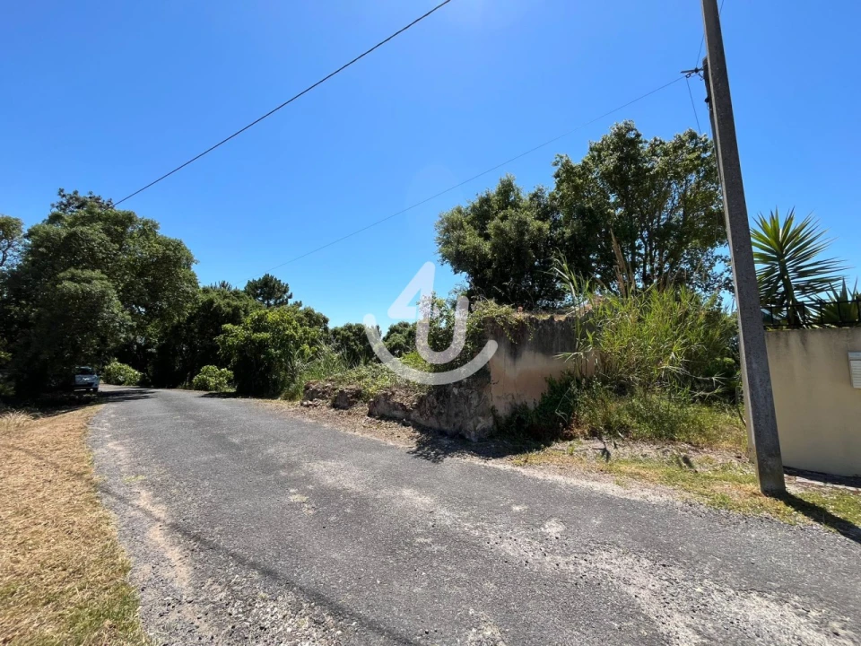 Moradia para Venda em Salir de Matos Foto 5