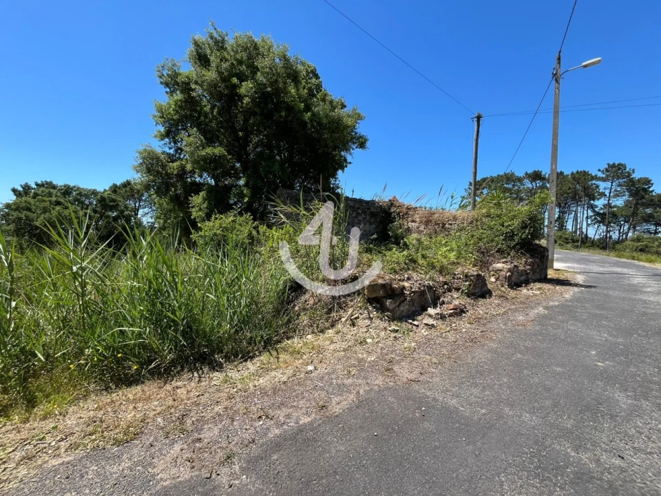 Moradia para Venda em Salir de Matos Foto 6