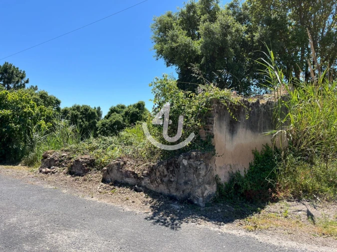 Moradia para Venda em Salir de Matos Foto 3