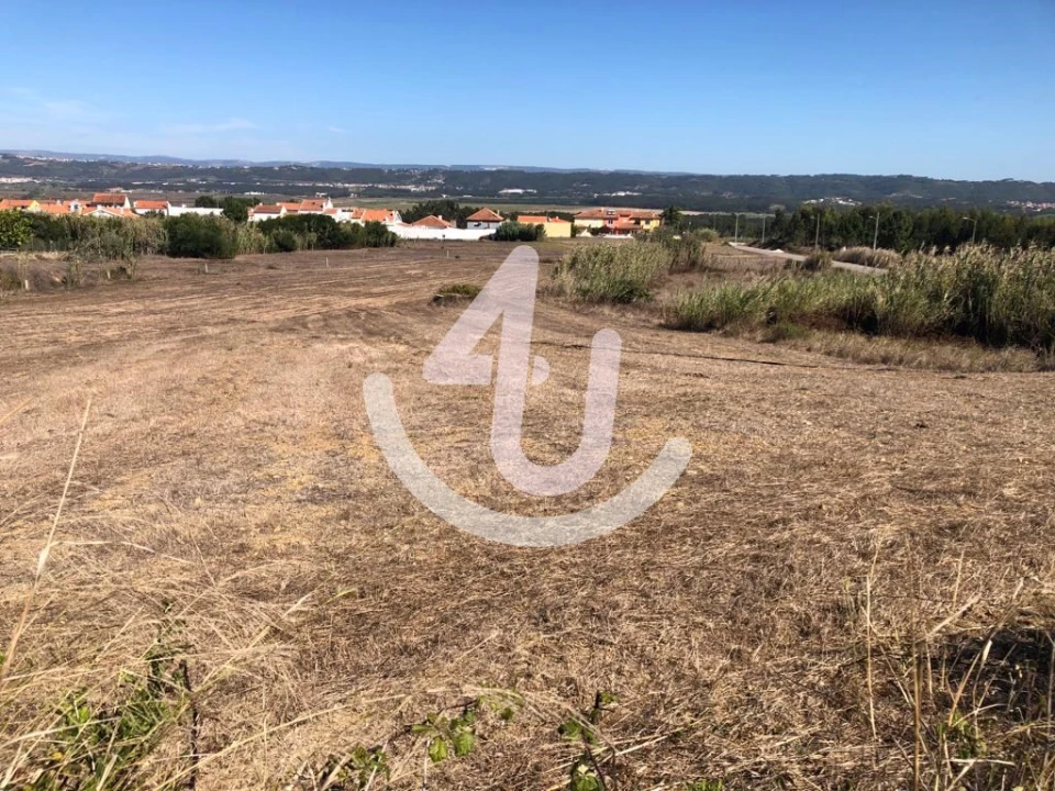 Terreno para Venda em Tornada e Salir do Porto Foto 4