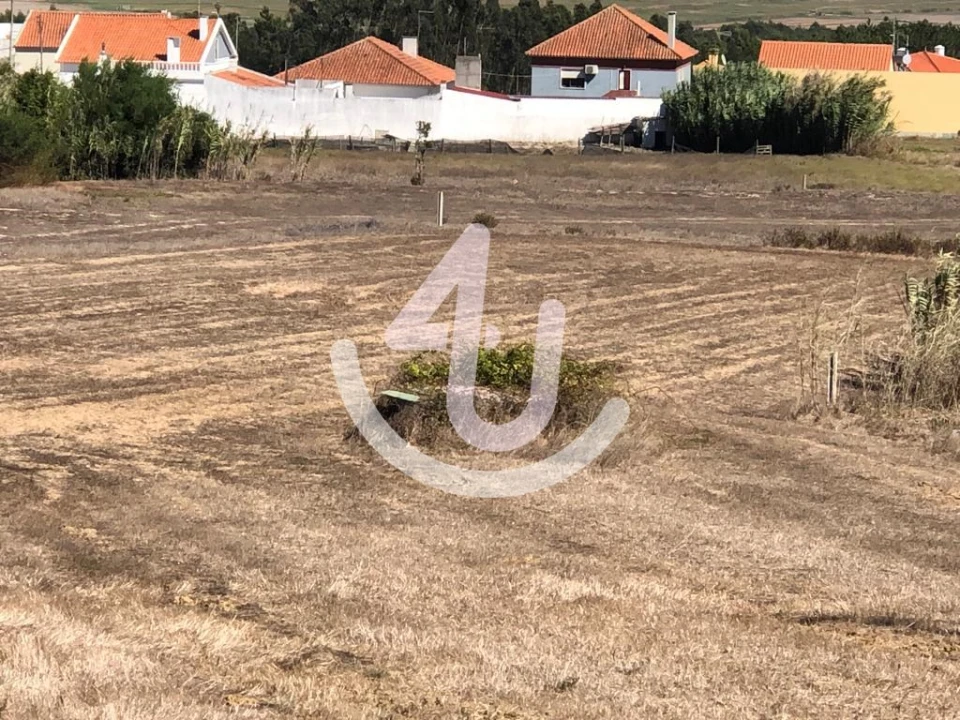 Terreno para Venda em Tornada e Salir do Porto Foto 5