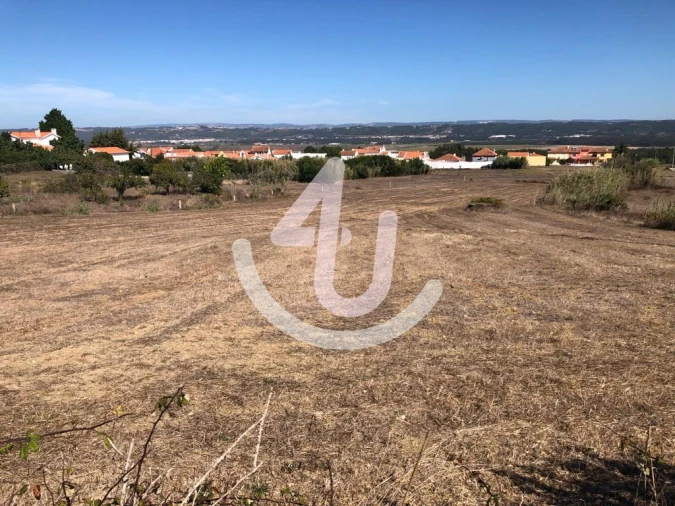 Terreno para Venda em Tornada e Salir do Porto Foto 2