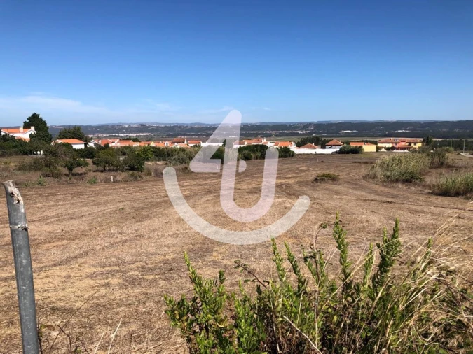 Terreno para Venda em Tornada e Salir do Porto Foto 3