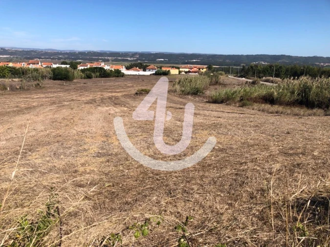 Terreno para Venda em Tornada e Salir do Porto Foto 4