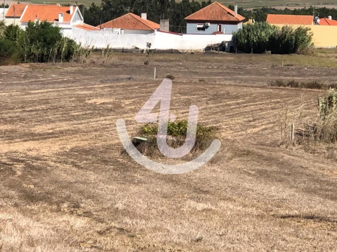 Terreno para Venda em Tornada e Salir do Porto Foto 5