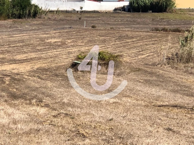Terreno para Venda em Tornada e Salir do Porto Foto 6