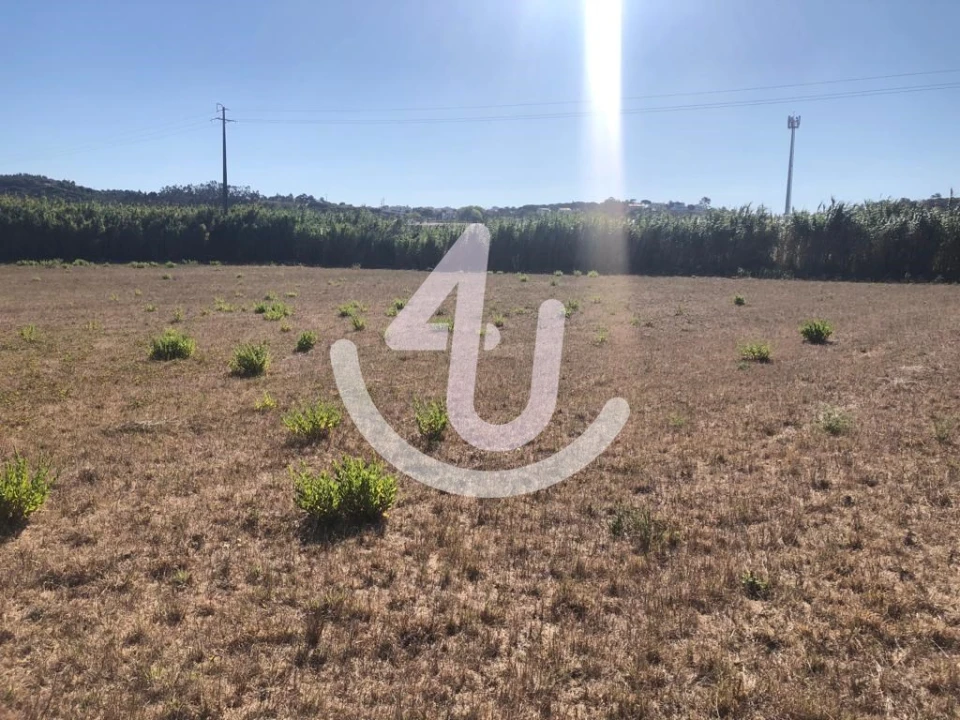 Terreno Comércio / Armazém para Venda em Tornada e Salir do Porto Foto 3