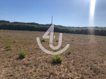 Terreno Comércio / Armazém para Venda em Tornada e Salir do Porto
