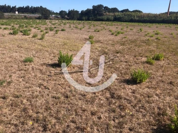 Terreno Comércio / Armazém para Venda em Tornada e Salir do Porto