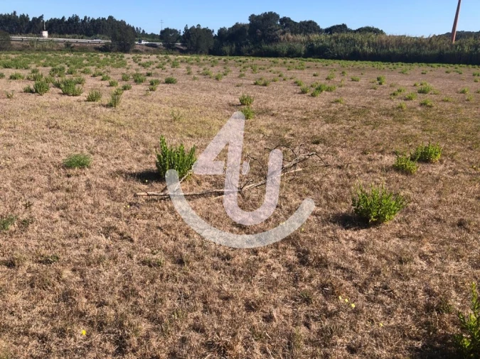 Terreno Comércio / Armazém para Venda em Tornada e Salir do Porto Foto 2