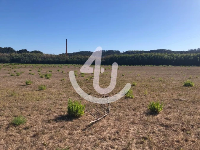 Terreno Comércio / Armazém para Venda em Tornada e Salir do Porto Foto 4