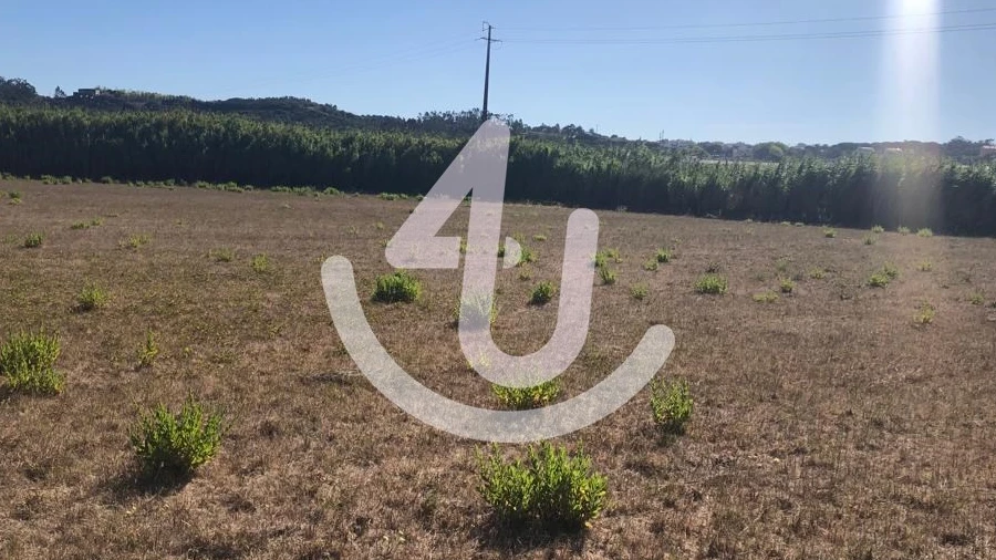 Terreno Comércio / Armazém para Venda em Tornada e Salir do Porto