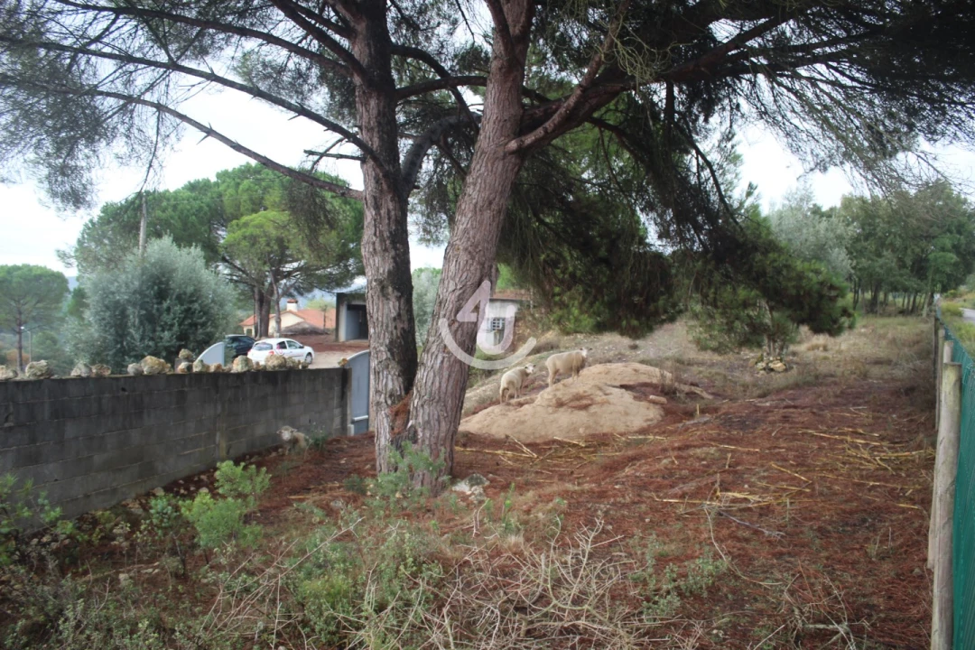 Terreno para Venda em Nossa Senhora da Piedade Foto 25