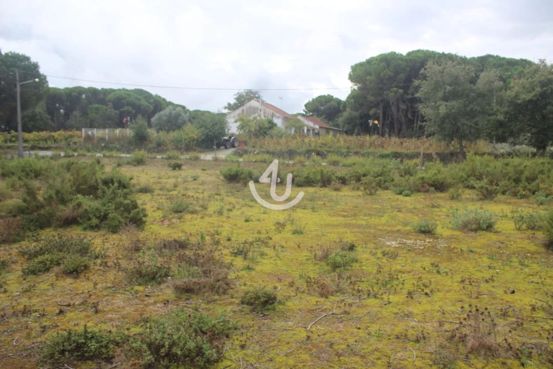 Terreno para Venda em Nossa Senhora da Piedade Foto 1