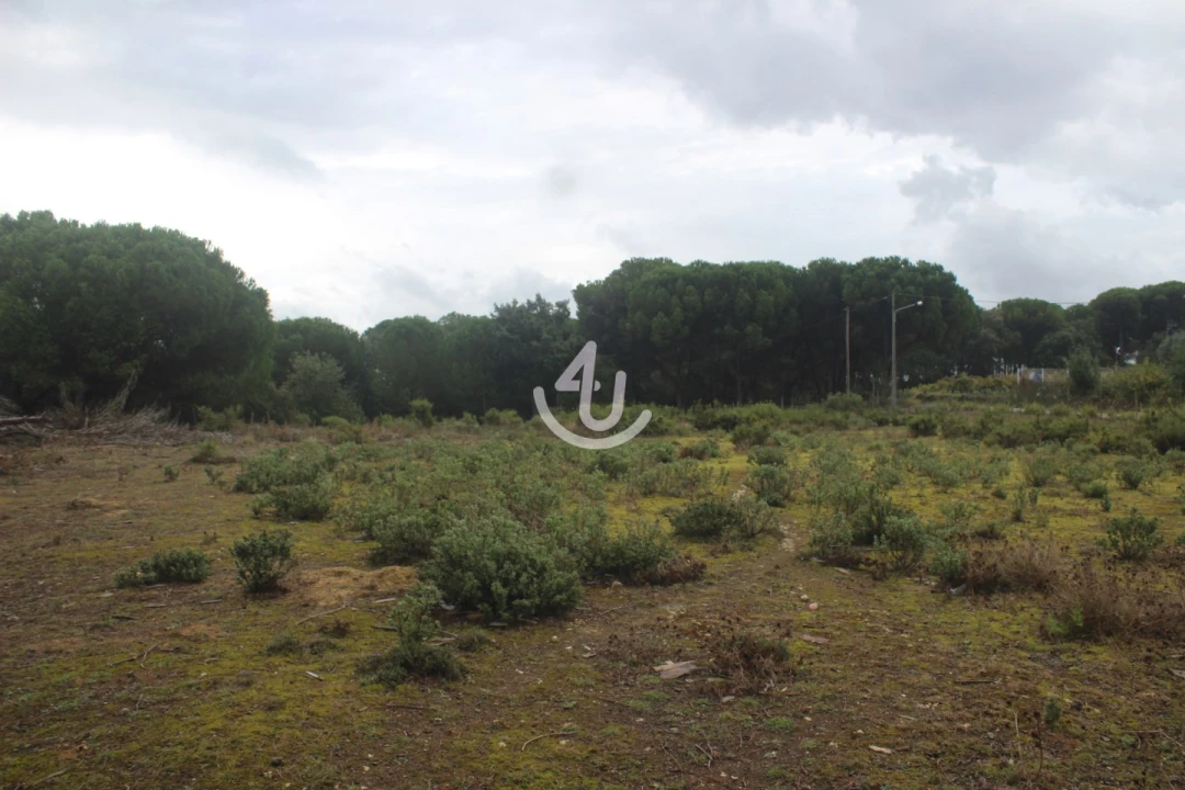 Terreno para Venda em Nossa Senhora da Piedade Foto 33