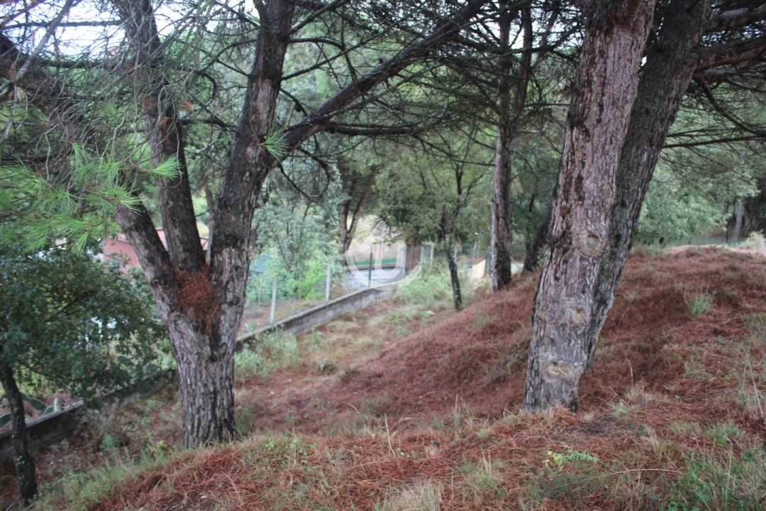 Terreno para Venda em Nossa Senhora da Piedade Foto 34