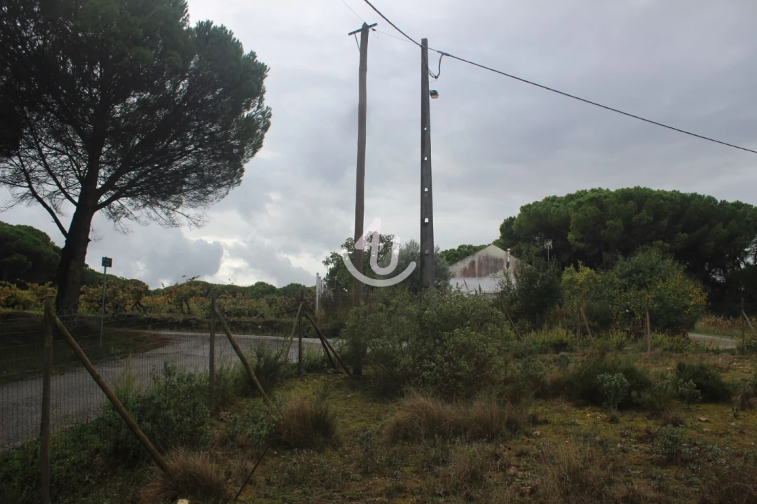 Terreno para Venda em Nossa Senhora da Piedade Foto 35