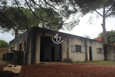 Terreno para Venda em Nossa Senhora da Piedade