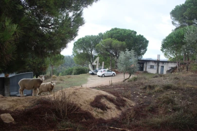 Terreno para Venda em Nossa Senhora da Piedade