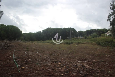 Terreno para Venda em Nossa Senhora da Piedade