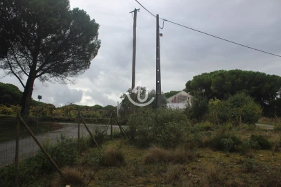 Terreno para Venda em Nossa Senhora da Piedade