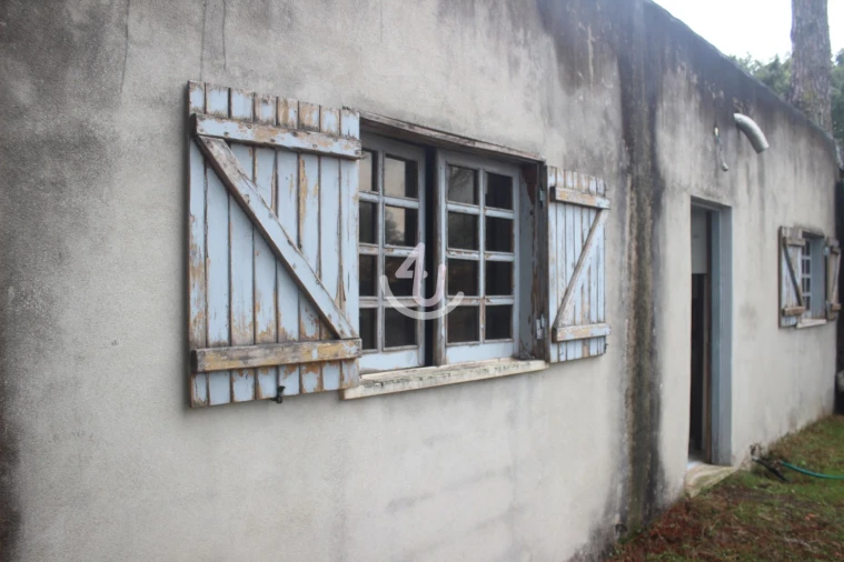 Terreno para Venda em Nossa Senhora da Piedade Foto 4