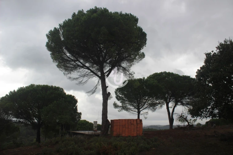 Terreno para Venda em Nossa Senhora da Piedade Foto 18