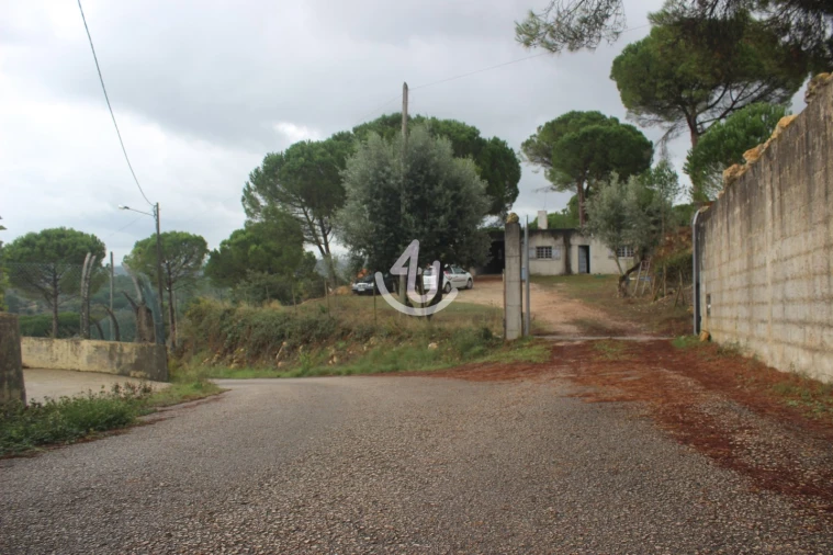 Terreno para Venda em Nossa Senhora da Piedade Foto 20