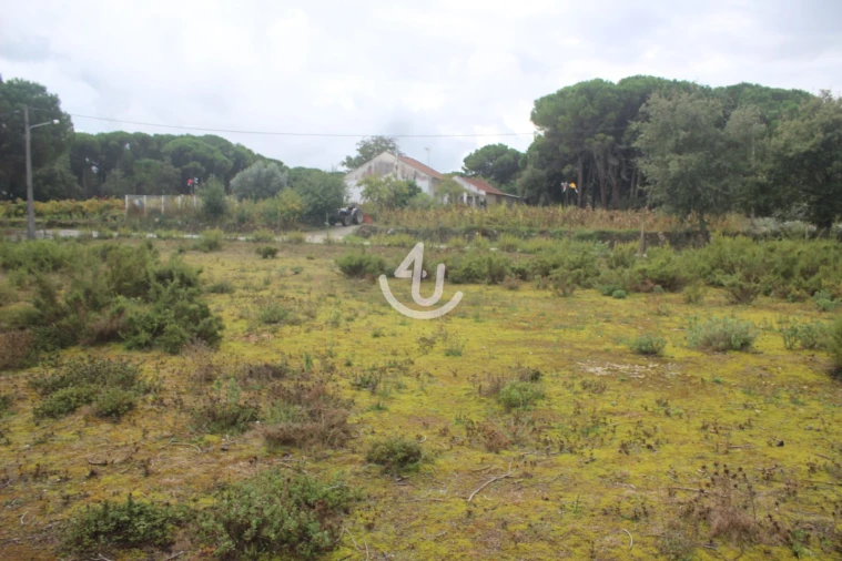 Terreno para Venda em Nossa Senhora da Piedade