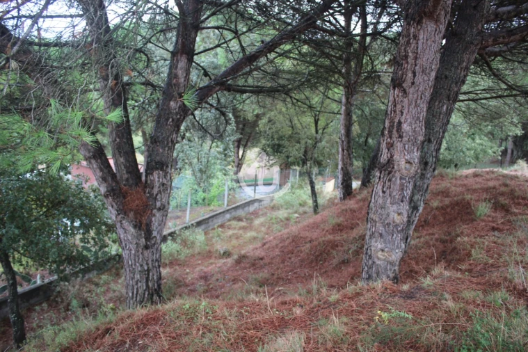 Terreno para Venda em Nossa Senhora da Piedade Foto 34
