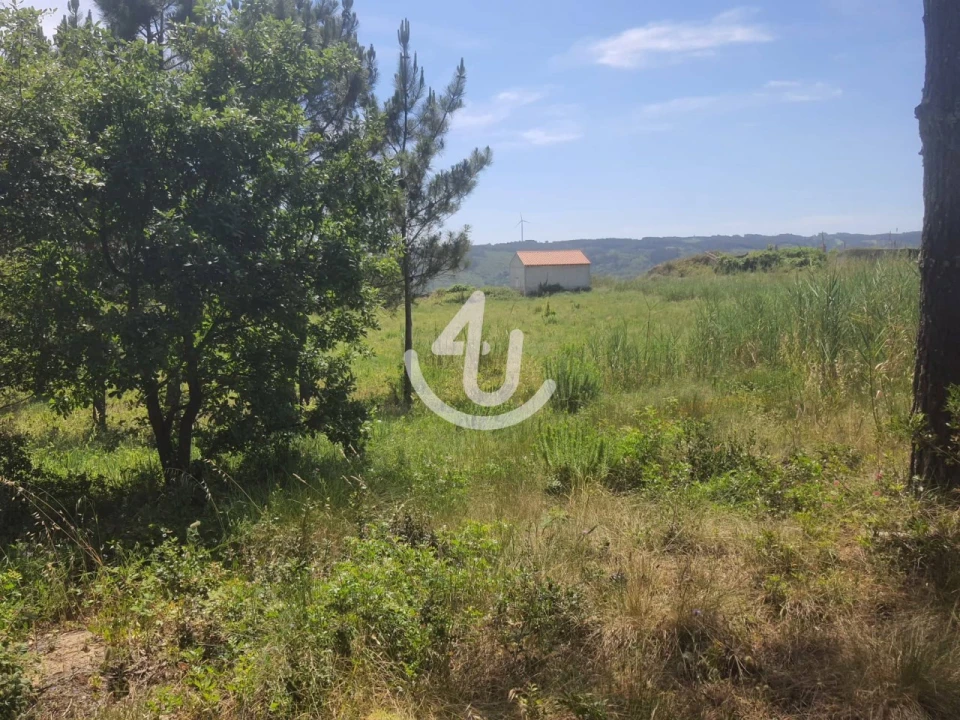 Moradia T1 para Venda em Famalicão Foto 6