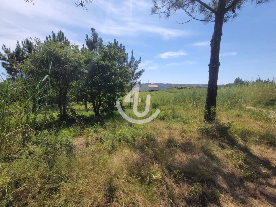 Moradia T1 para Venda em Famalicão Foto 7