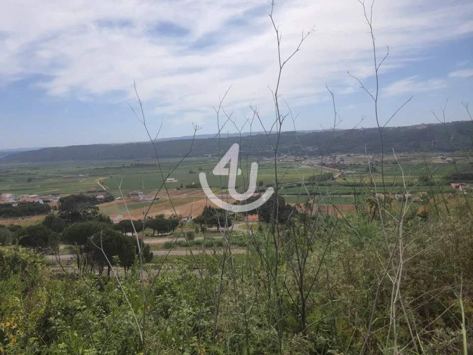 Moradia T1 para Venda em Famalicão Foto 10