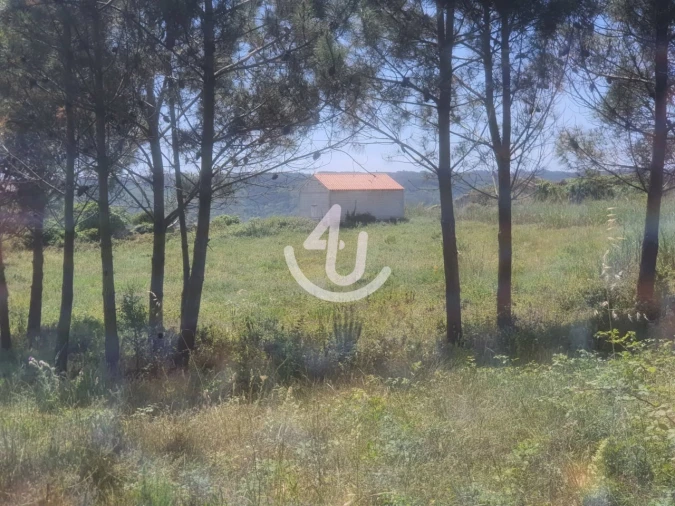 Moradia T1 para Venda em Famalicão Foto 5