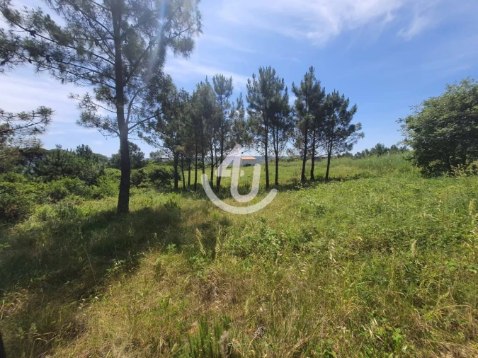 Moradia T1 para Venda em Famalicão Foto 8