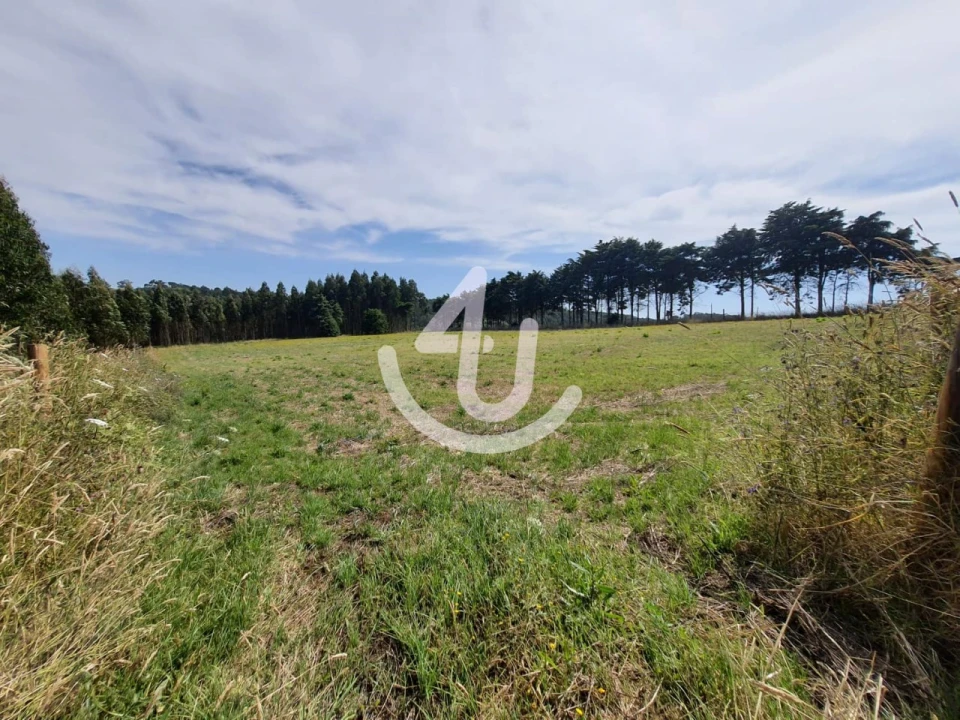 Terreno Agricola ou Rústico para Venda em Famalicão Foto 2